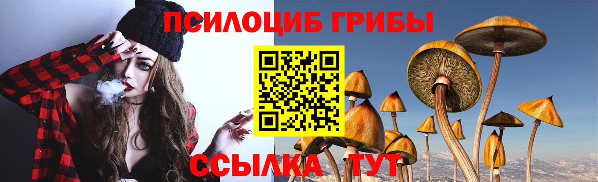 Галлюциногенные грибы Cubensis  Вход с VPN  Фролово 